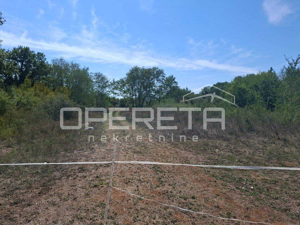 OPERETA 623770