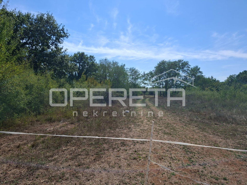 OPERETA 623777