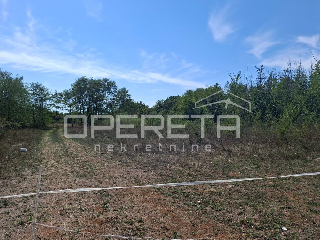 OPERETA 623779