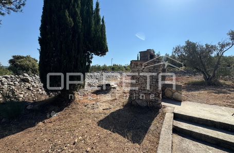OPERETA 623988