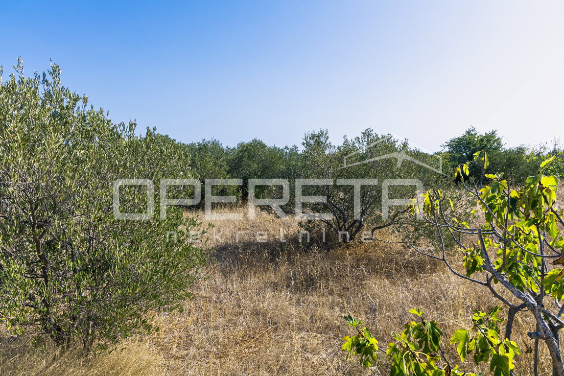 OPERETA 625216
