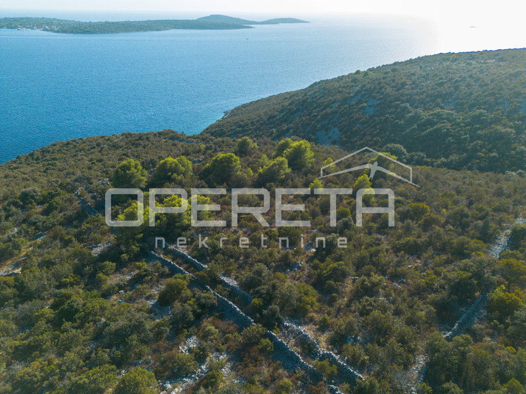 OPERETA 625228