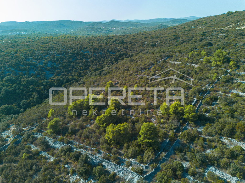 OPERETA 625232