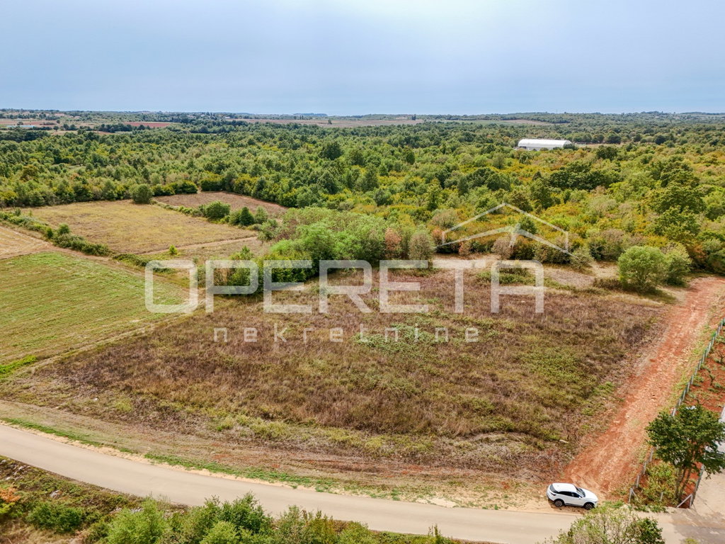 OPERETA 625720