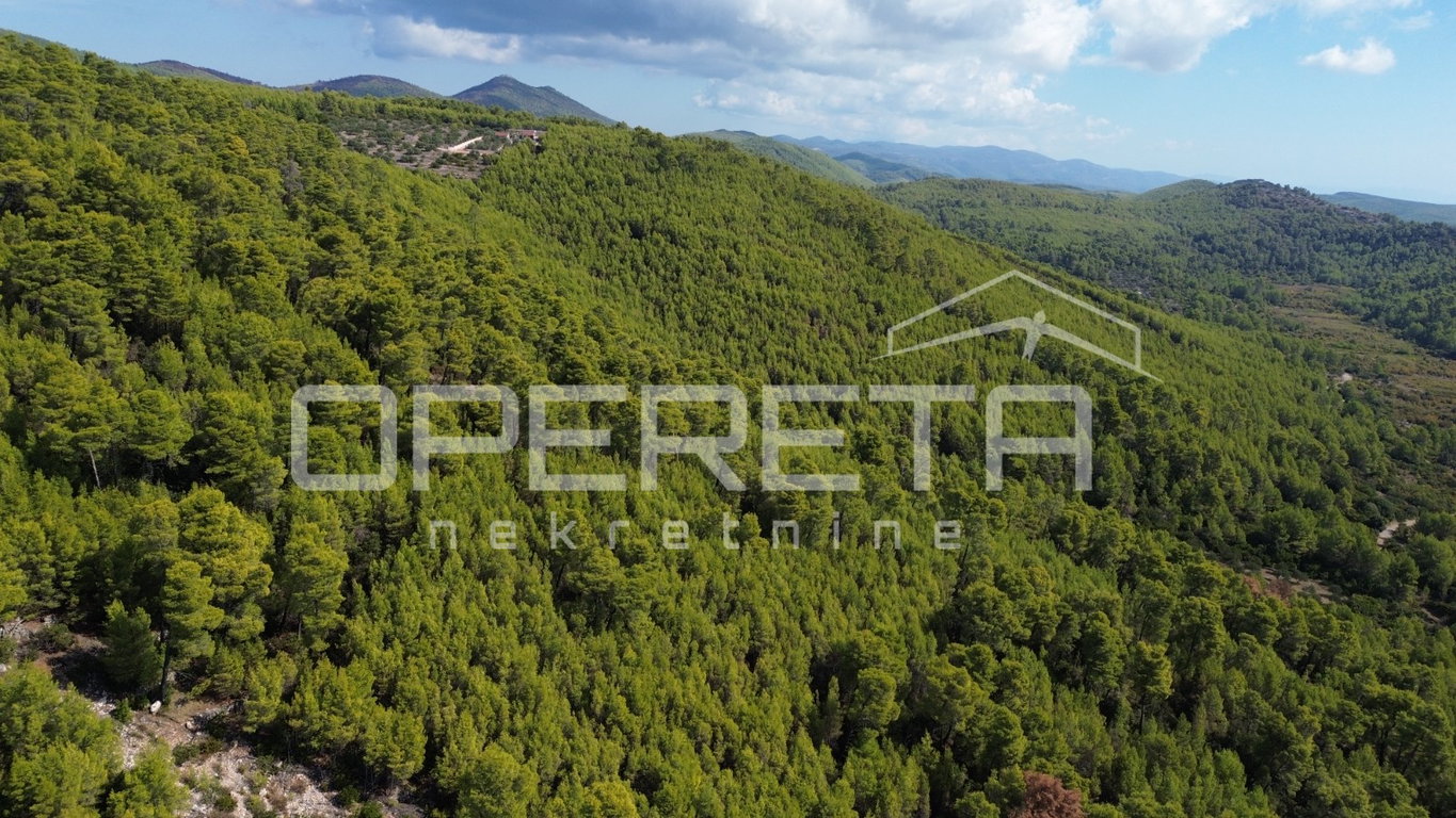OPERETA 628848