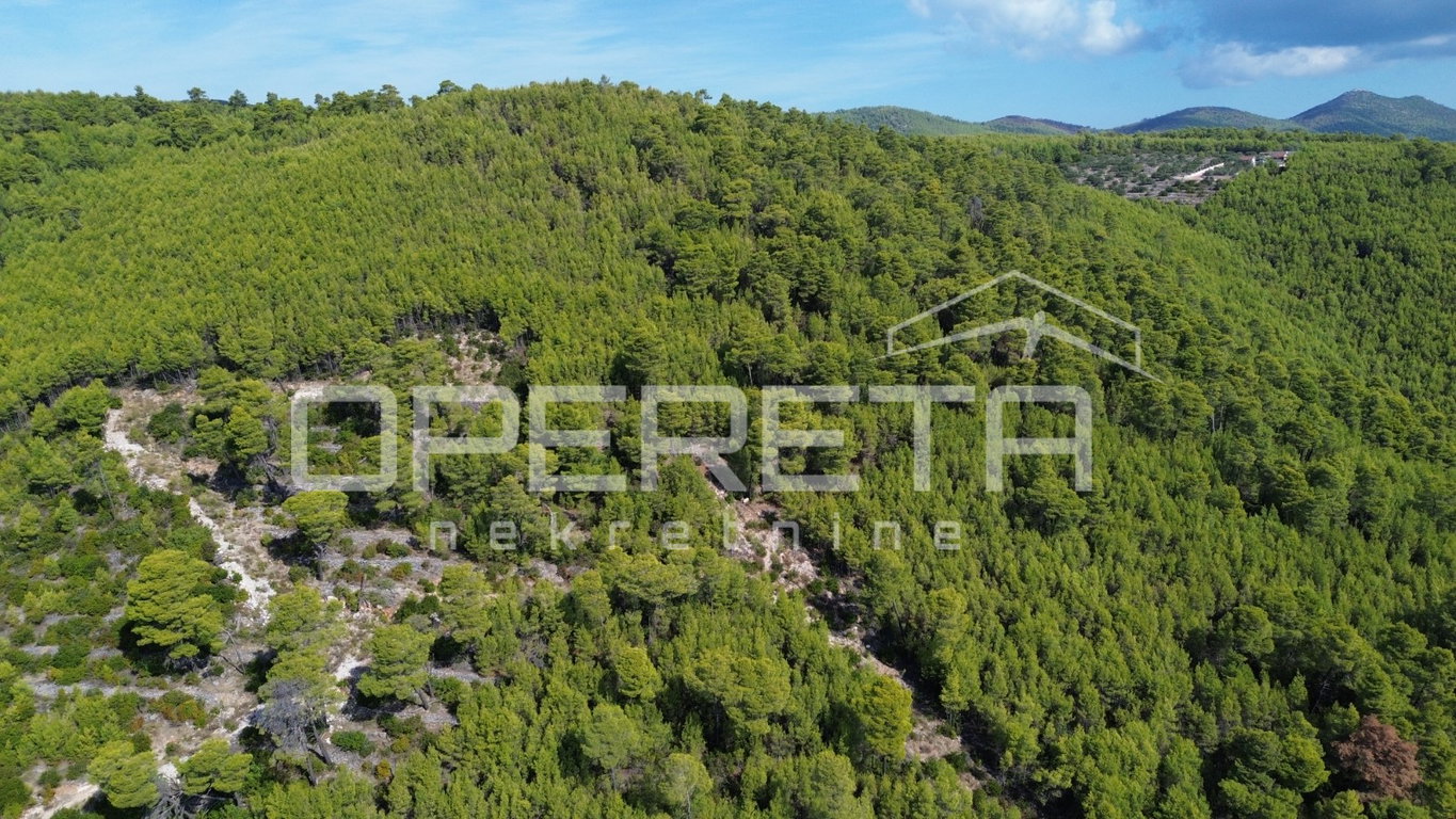 OPERETA 628854