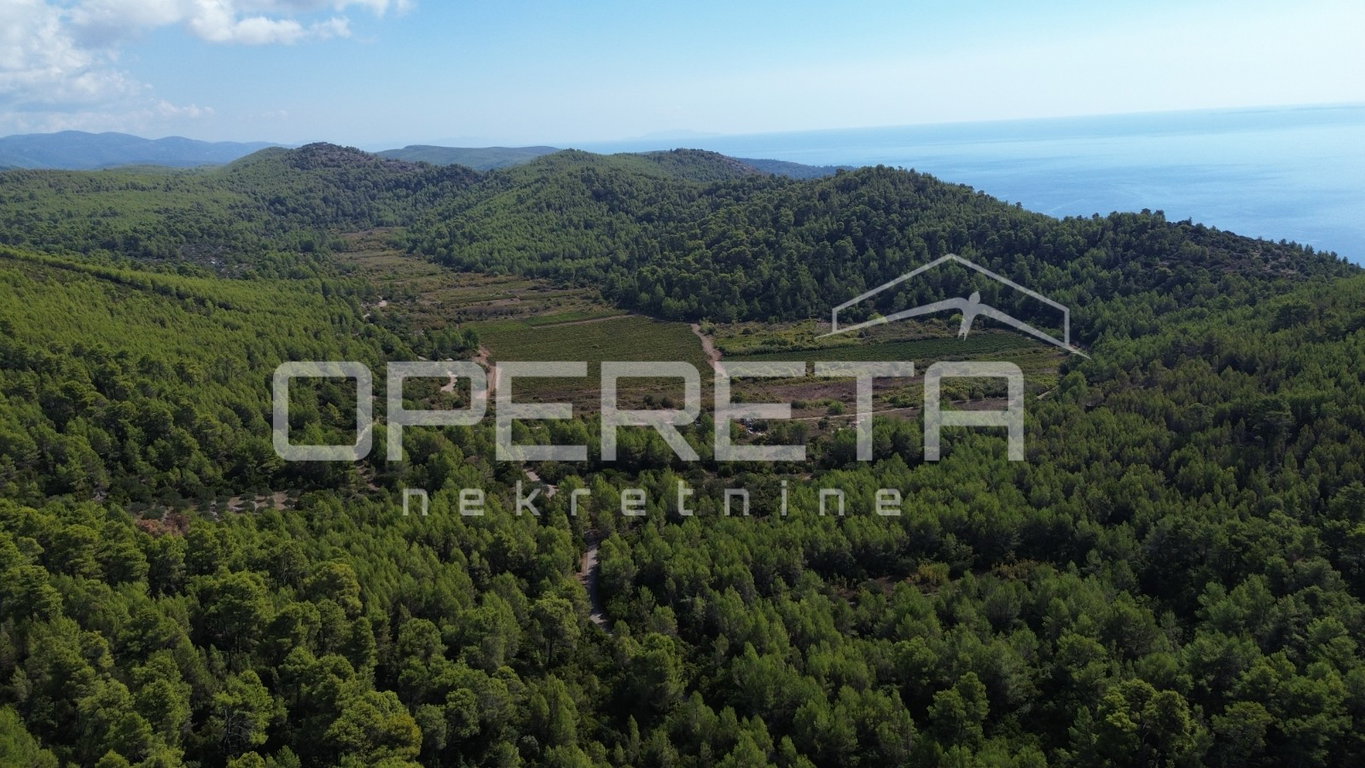 OPERETA 628856