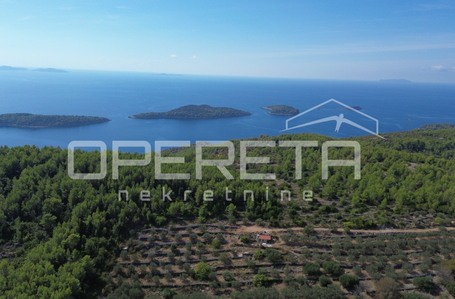 OPERETA 628857