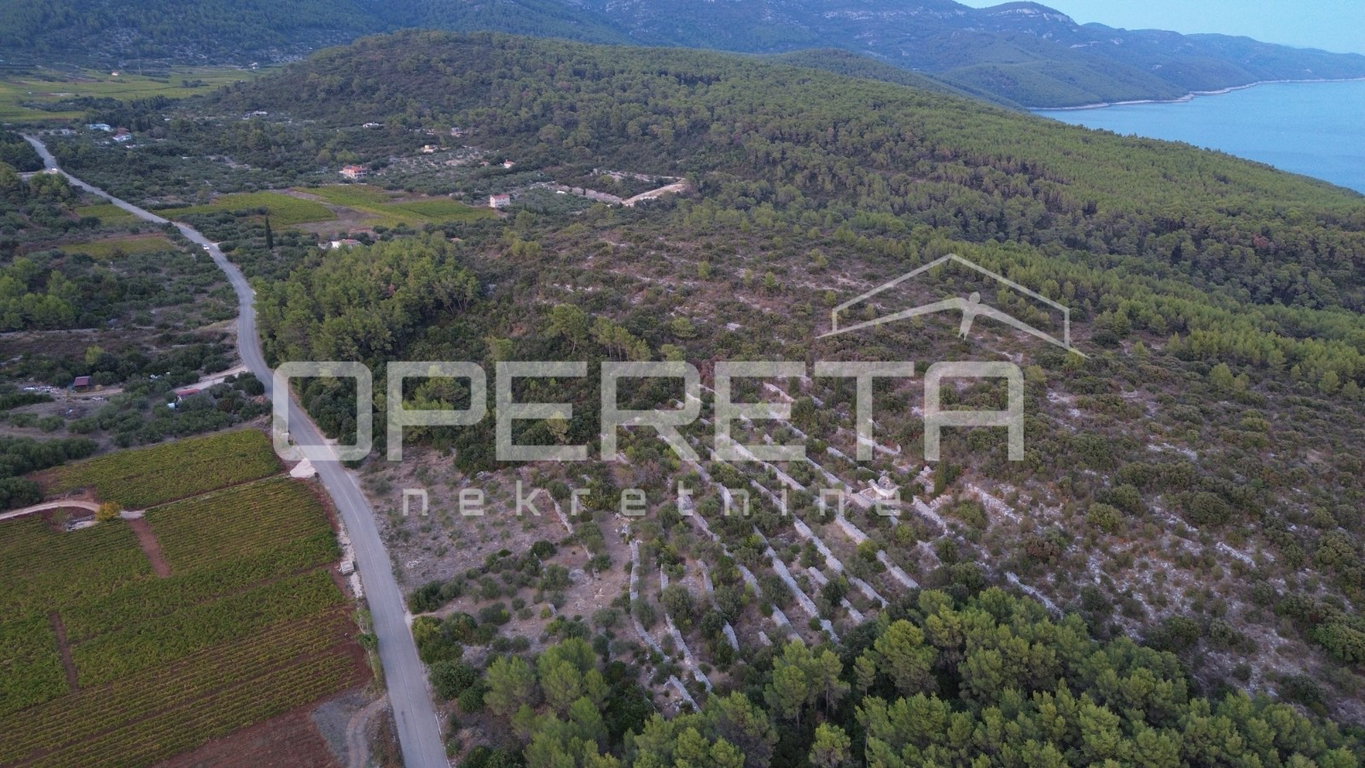 OPERETA 631826