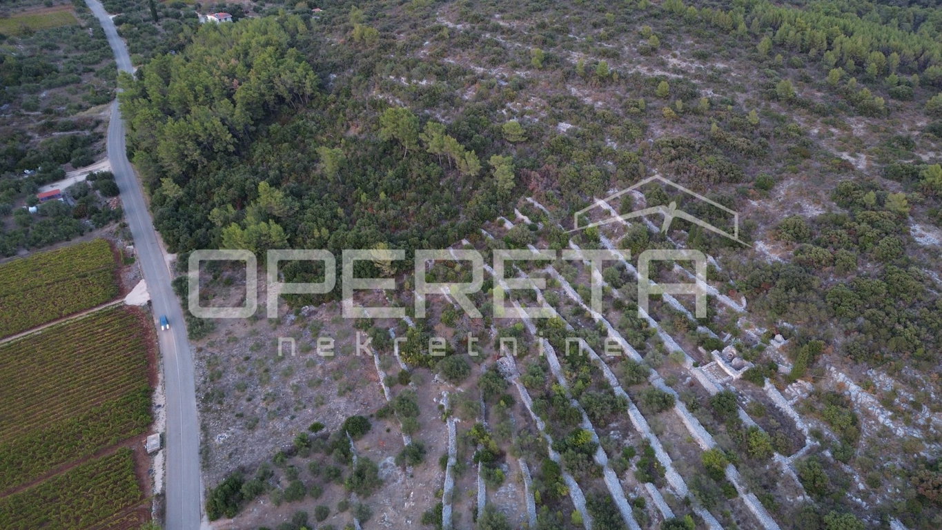 OPERETA 631827