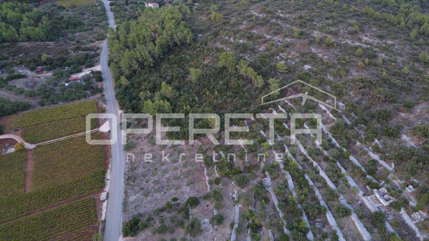 OPERETA 631829