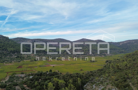 OPERETA 631881