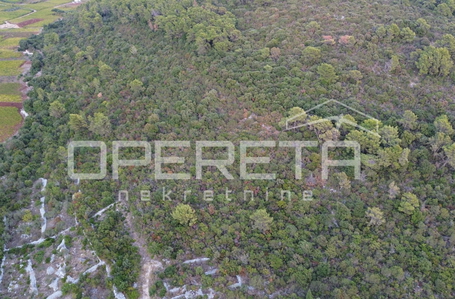 OPERETA 631882
