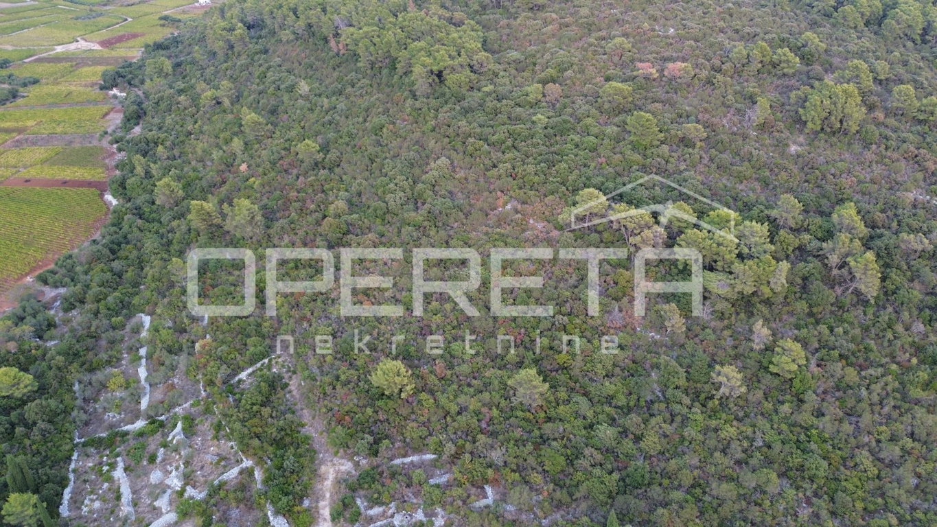 OPERETA 631882