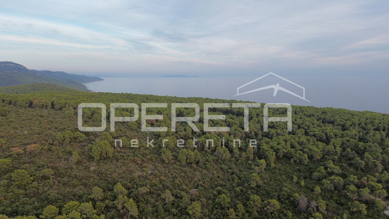OPERETA 631883