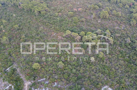 OPERETA 631886
