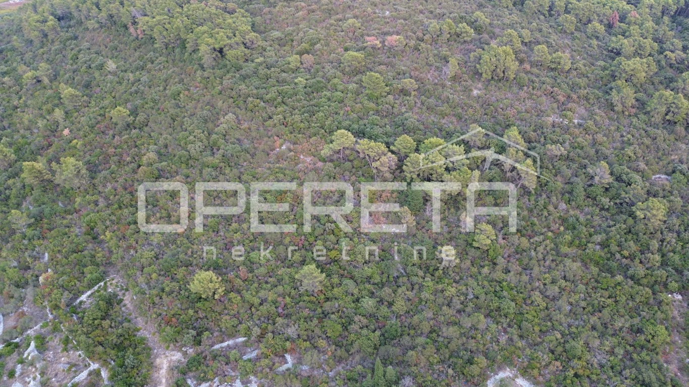 OPERETA 631886