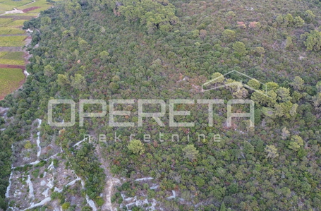 OPERETA 631887