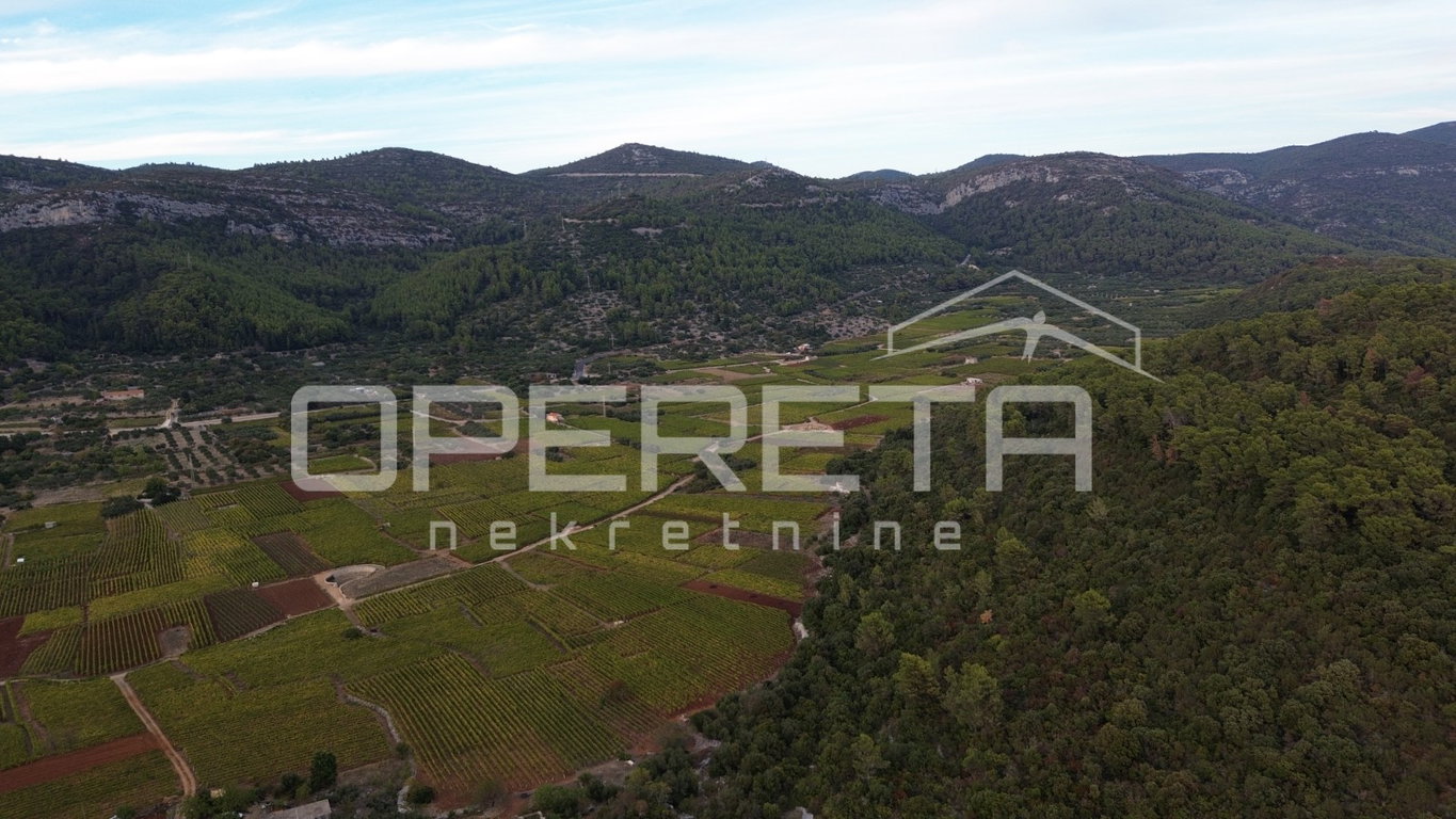 OPERETA 631889