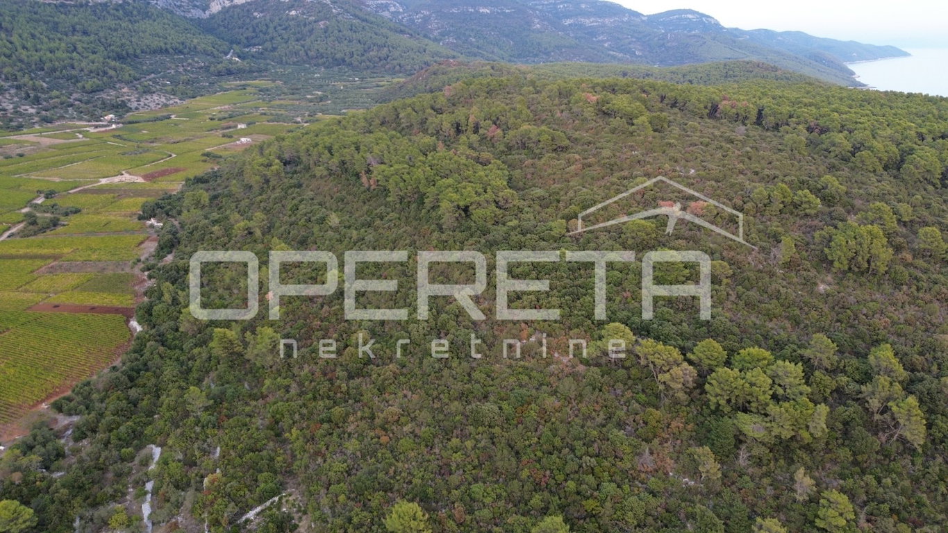 OPERETA 631890
