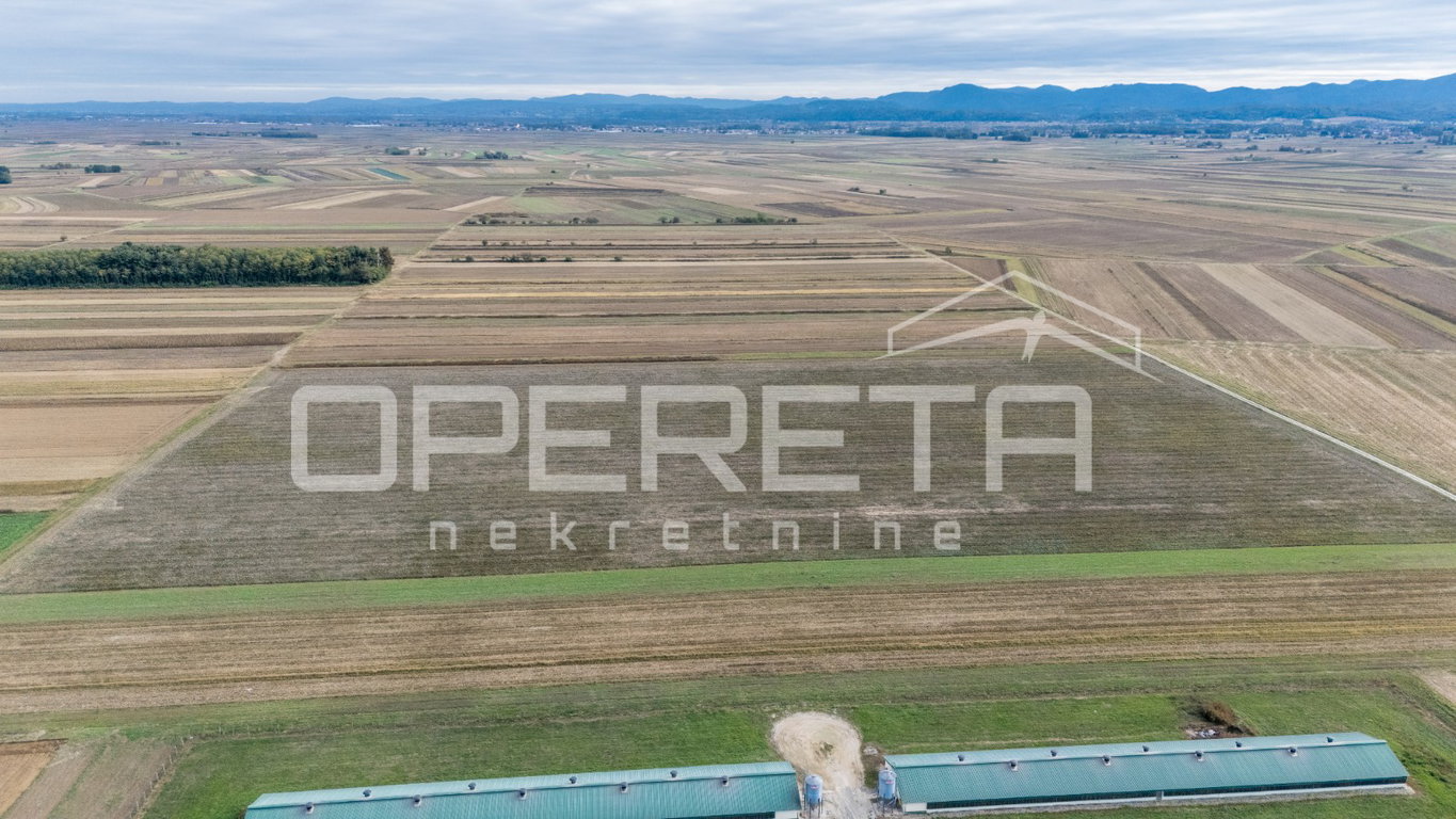 OPERETA 634187