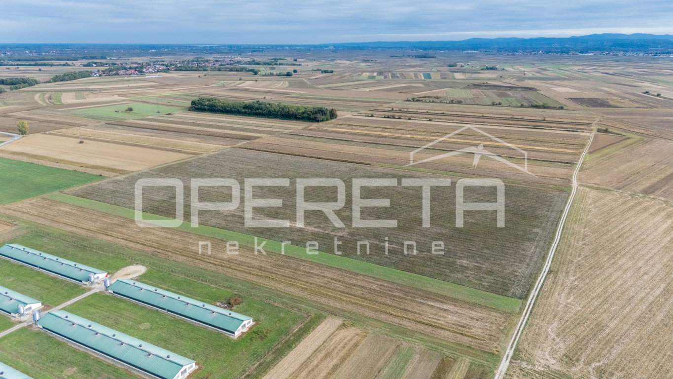 OPERETA 634188