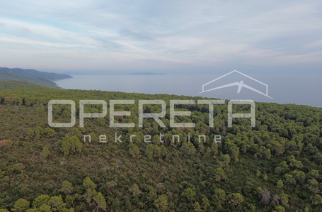 OPERETA 635869