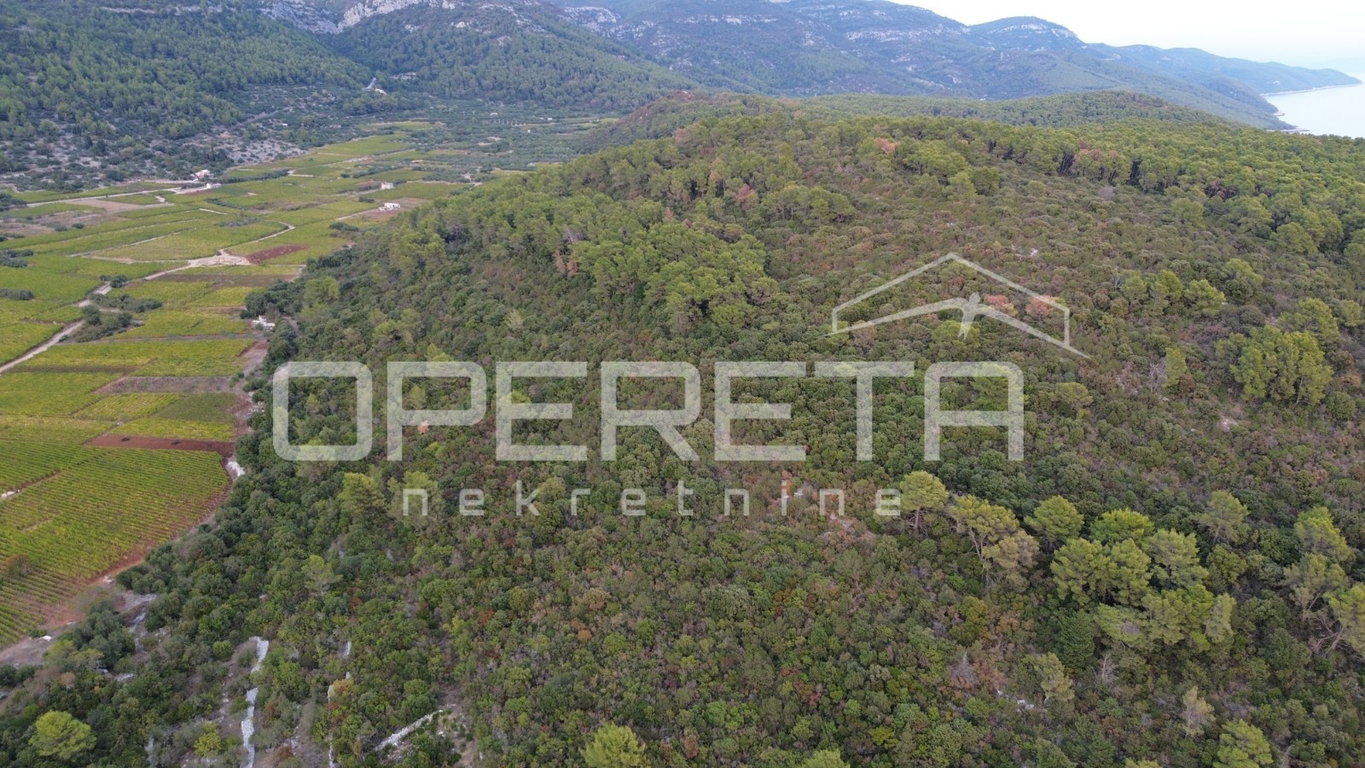 OPERETA 635872