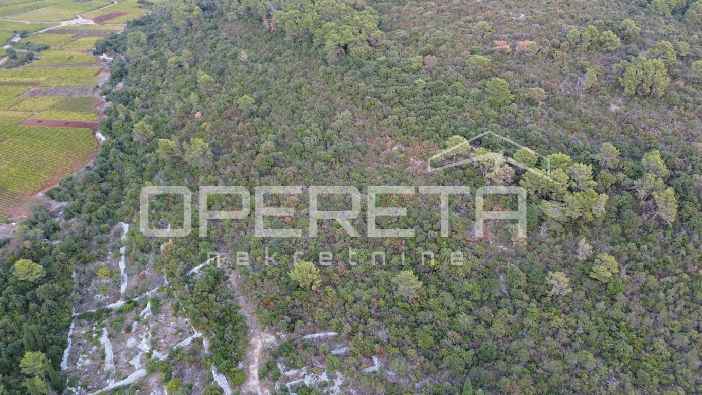 OPERETA 635875