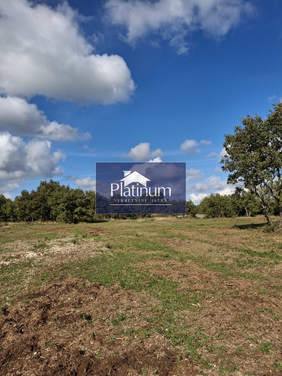 Istra, Vodnjan, poljoprivredno zemljište 7949 m2 Istra, Vodnjan, poljoprivredno zemljište 7949 m2