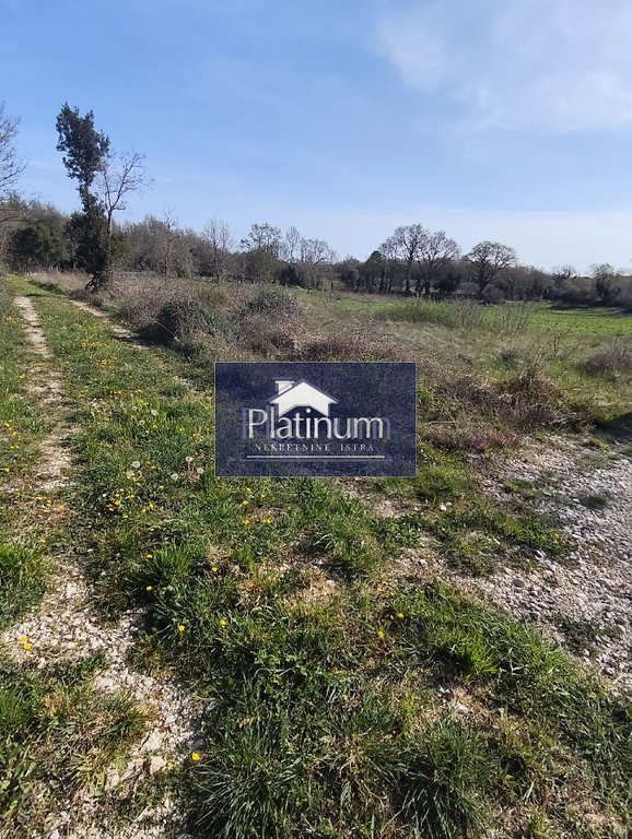 Istria, terreno agricolo in vendita a Šišan