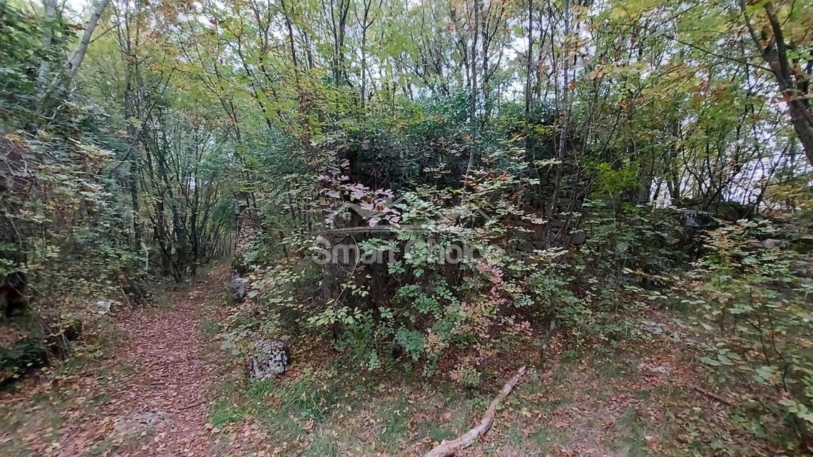 1666954761 20221022 104950