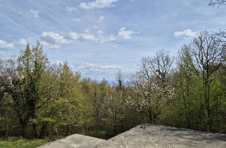 Image alt