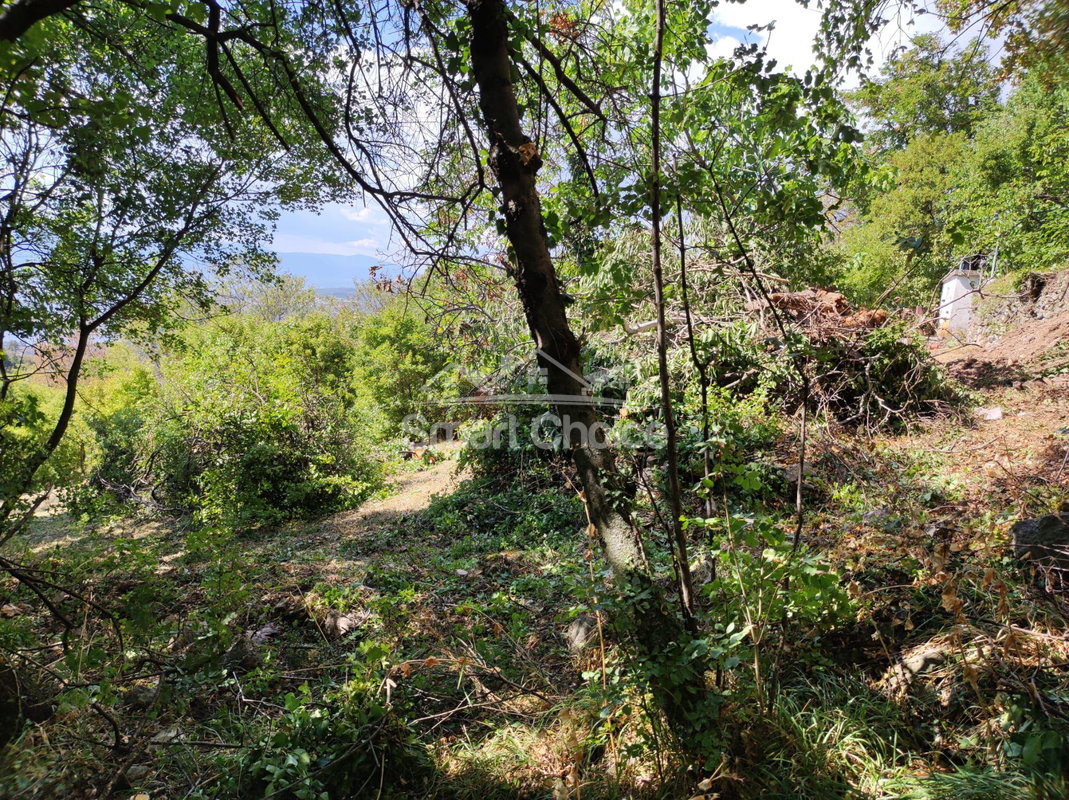 img-20250109-wa0032