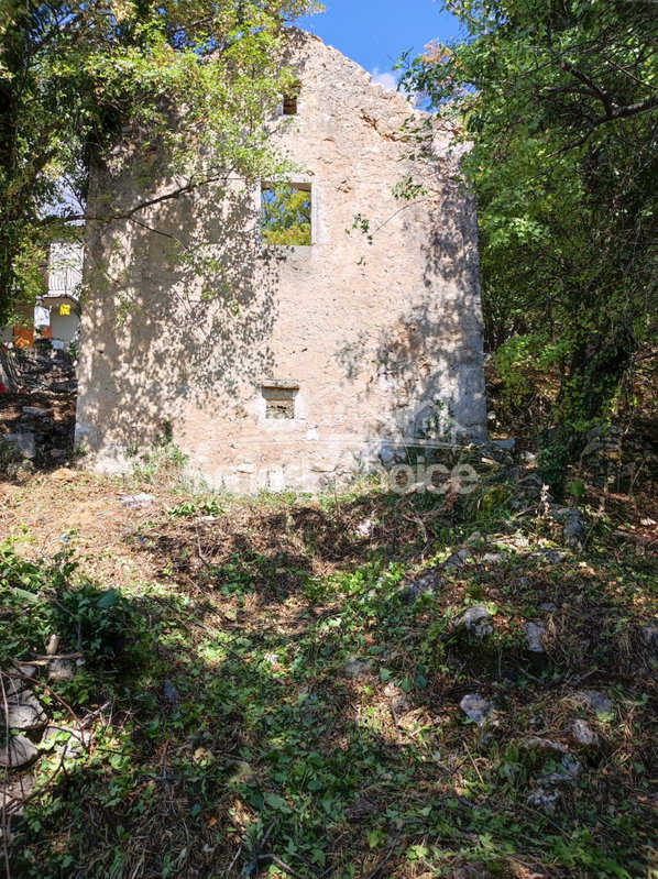 img-20250109-wa0039