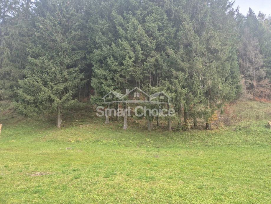 zemljiste-slika-252343095